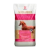 Caballo X-Cellence Potrina