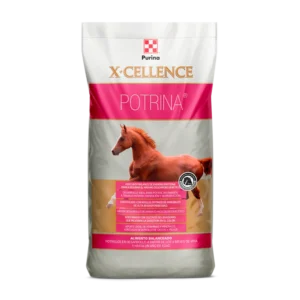 X-Cellence Potrina