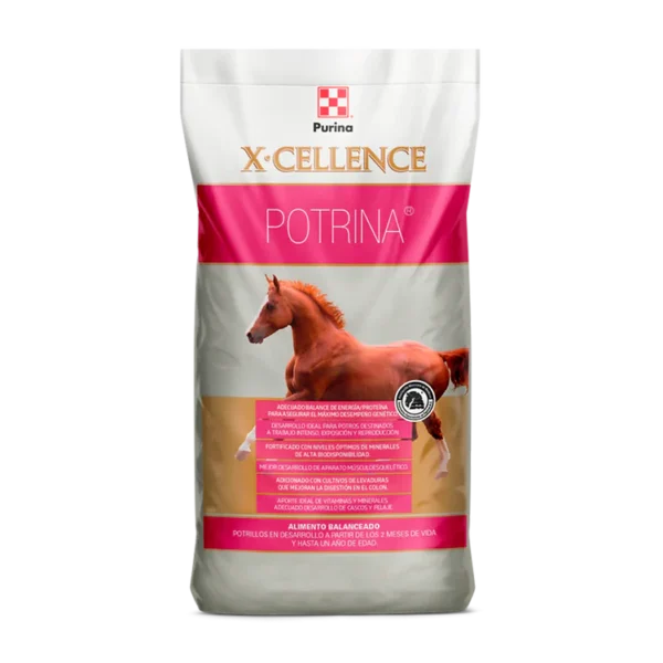 Caballo X-Cellence Potrina