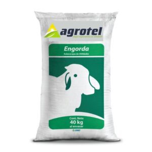 imagen_vaca_2 Alimento Balanceado Bovino Engorde